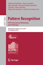 Pattern Recognition. ICPR International Workshops and Challenges