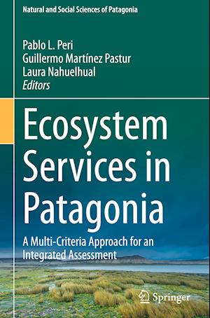 Ecosystem Services in Patagonia