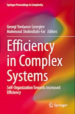 Efficiency in Complex Systems