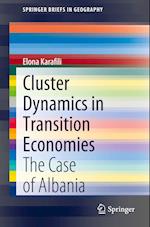 Cluster Dynamics in Transition Economies