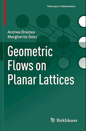 Geometric Flows on Planar Lattices