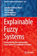 Explainable Fuzzy Systems