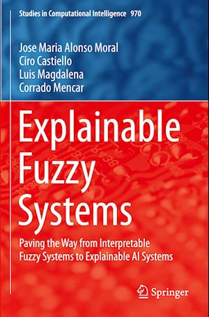 Explainable Fuzzy Systems