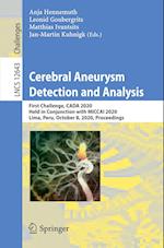 Cerebral Aneurysm Detection and Analysis