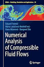 Numerical Analysis of Compressible Fluid Flows