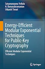 Energy-Efficient Modular Exponential Techniques for Public-Key Cryptography