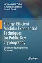 Energy-Efficient Modular Exponential Techniques for Public-Key Cryptography