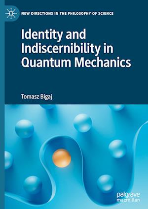 Identity and Indiscernibility in Quantum Mechanics