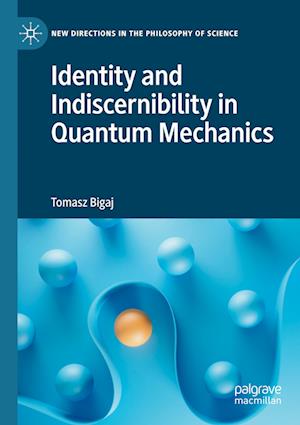 Identity and Indiscernibility in Quantum Mechanics