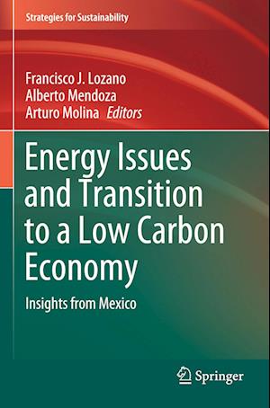 Energy Issues and Transition to a Low Carbon Economy