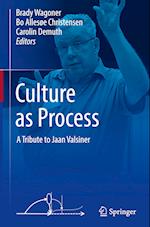 Culture as Process