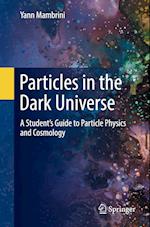 Particles in the Dark Universe