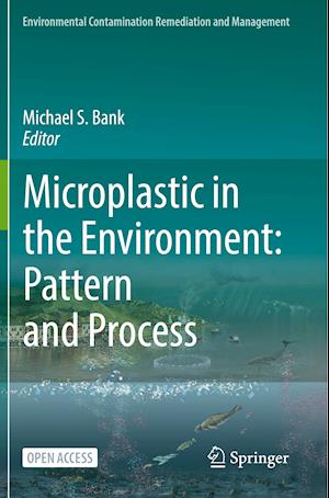 Microplastic in the Environment: Pattern and Process