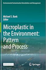 Microplastic in the Environment: Pattern and Process