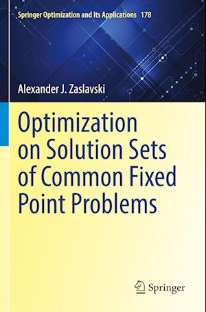 Optimization on Solution Sets of Common Fixed Point Problems