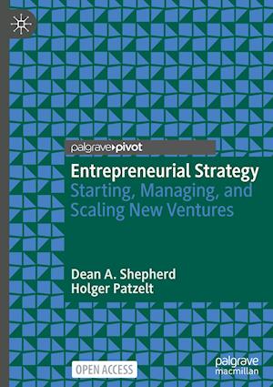 Entrepreneurial Strategy