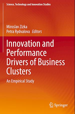 Innovation and Performance Drivers of Business Clusters