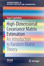 High-Dimensional Covariance Matrix Estimation