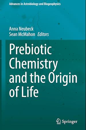 Prebiotic Chemistry and the Origin of Life