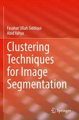 Clustering Techniques for Image Segmentation