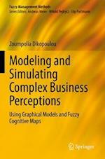 Modeling and Simulating Complex Business Perceptions