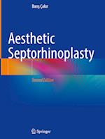 Aesthetic Septorhinoplasty