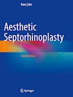 Aesthetic Septorhinoplasty