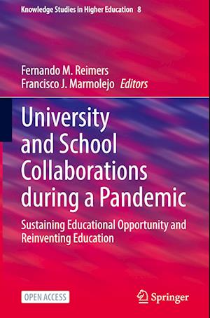 University and School Collaborations during a Pandemic