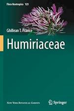 Humiriaceae