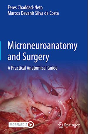 Microneuroanatomy and Surgery