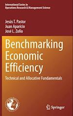 Benchmarking Economic Efficiency