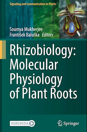 Rhizobiology: Molecular Physiology of Plant Roots