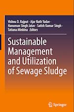 Sustainable Management and Utilization of Sewage Sludge