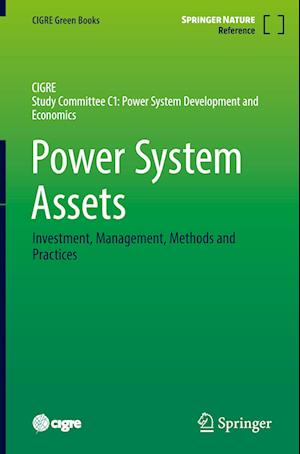 Power System Assets