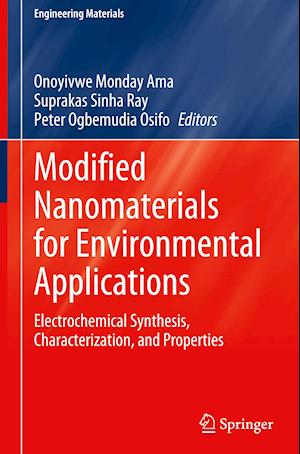 Modified Nanomaterials for Environmental Applications