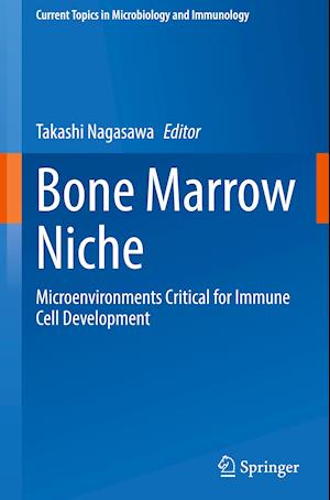 Bone Marrow Niche