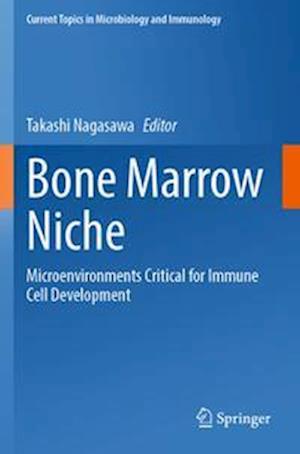 Bone Marrow Niche