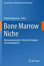 Bone Marrow Niche