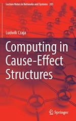 Computing in Cause-Effect Structures 