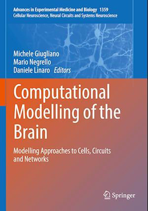 Computational Modelling of the Brain