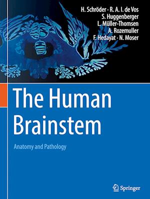 The Human Brainstem