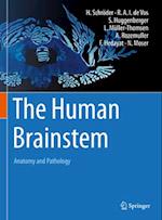 The Human Brainstem
