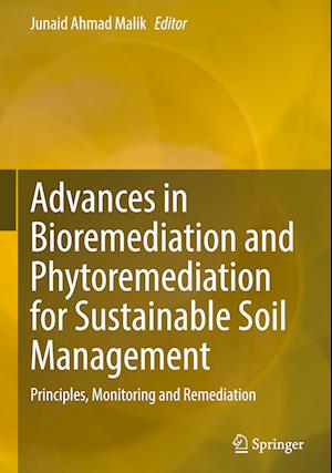 Advances in Bioremediation and Phytoremediation for Sustainable Soil Management