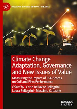 Climate Change Adaptation, Governance and New Issues of Value