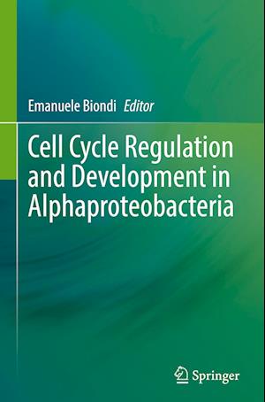 Cell Cycle Regulation and Development in Alphaproteobacteria