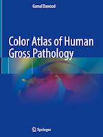 Color Atlas of Human Gross Pathology