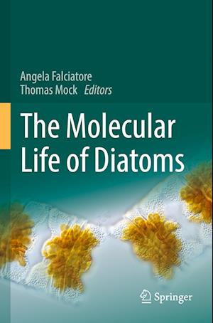 The Molecular Life of Diatoms