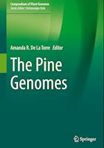The Pine Genomes