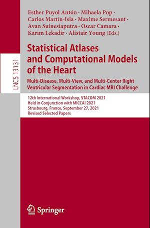 Statistical Atlases and Computational Models of the Heart. Multi-Disease, Multi-View, and Multi-Center Right Ventricular Segmentation in Cardiac MRI Challenge