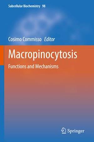 Macropinocytosis